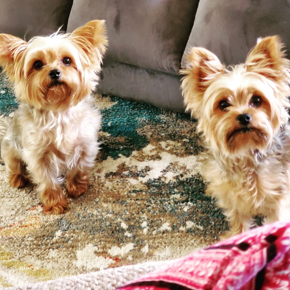 Meet your Posher, Ashley